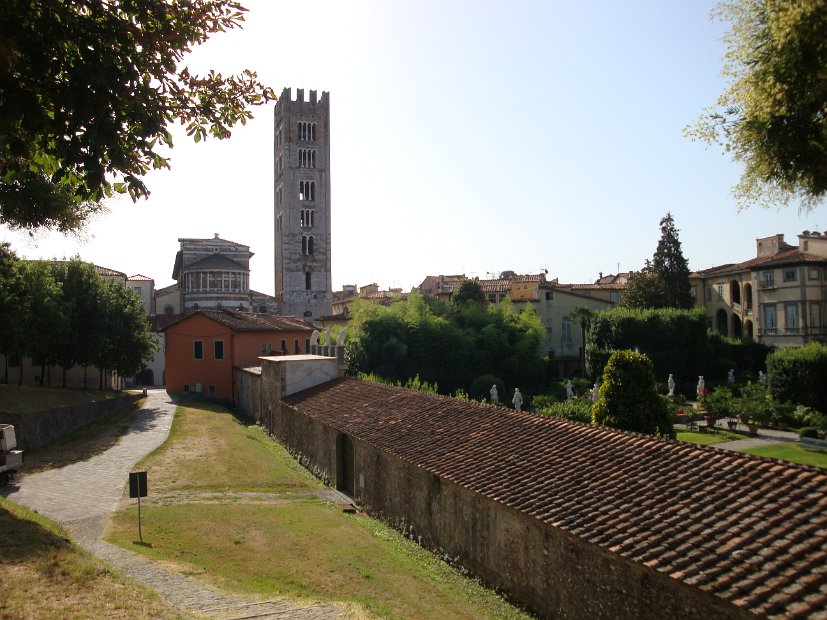 LUCCA 5